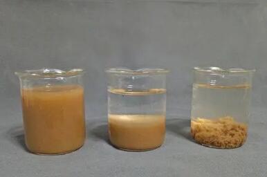 /uploads/image/2021/12/03/e21ff1188fd81a099d0f87633fcf718f.jpg 1.jpg